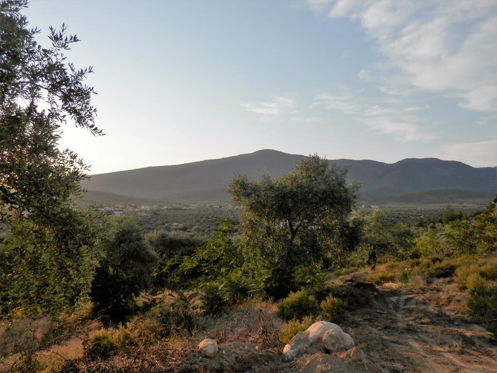 شقة Thea Athos يميناريا المظهر الخارجي الصورة